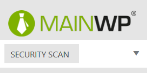 main-wp-security